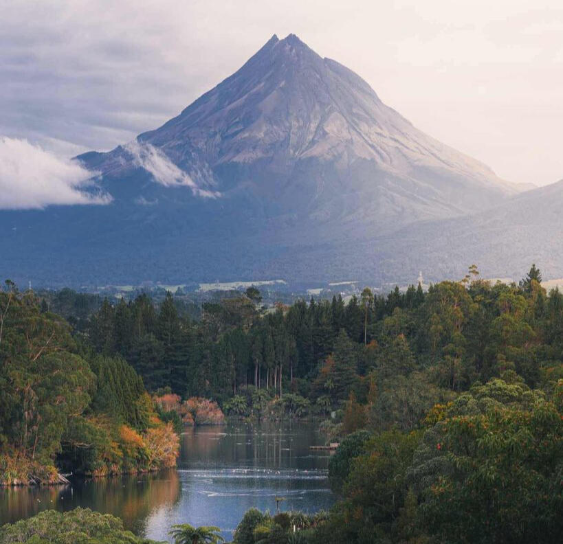 Sarah Lucas, New Plymouth council mayor and Kohanga Moa ward candidate, standing in front of a nikau palm